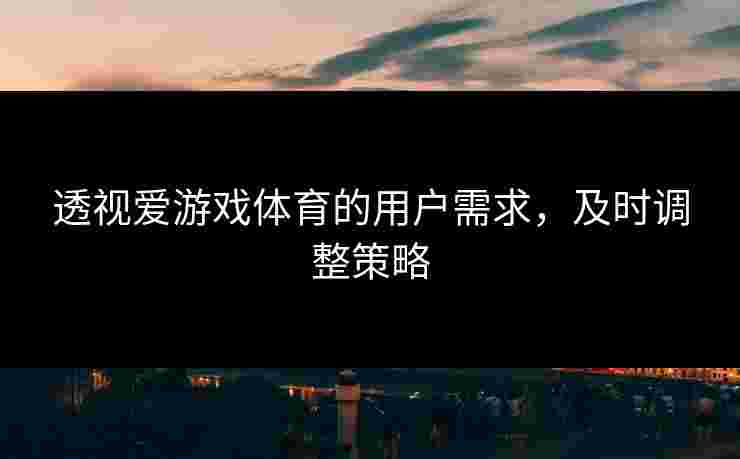 透视爱游戏体育的用户需求，及时调整策略