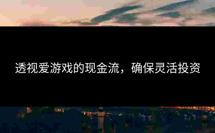 透视爱游戏的现金流，确保灵活投资