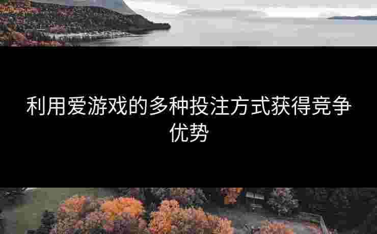 利用爱游戏的多种投注方式获得竞争优势
